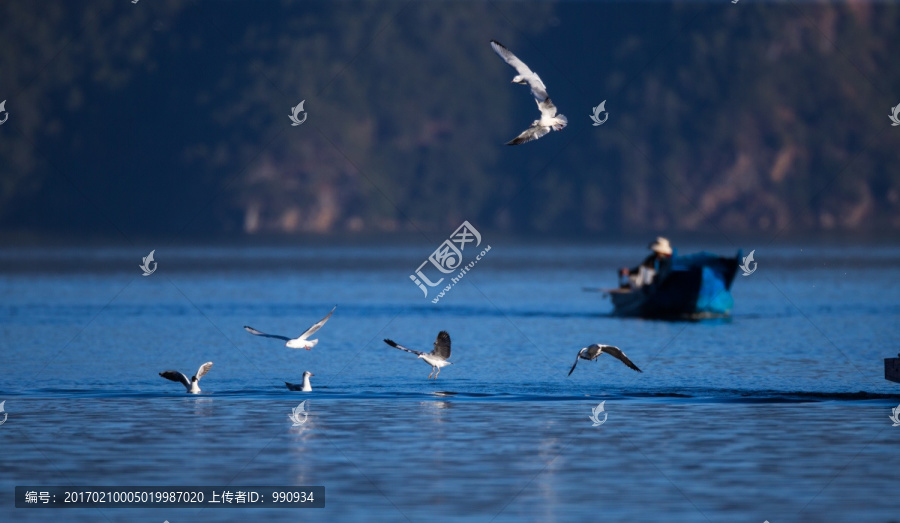 泸枯湖,人与鸟