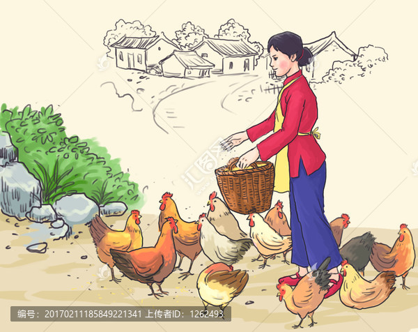 農(nóng)婦喂雞