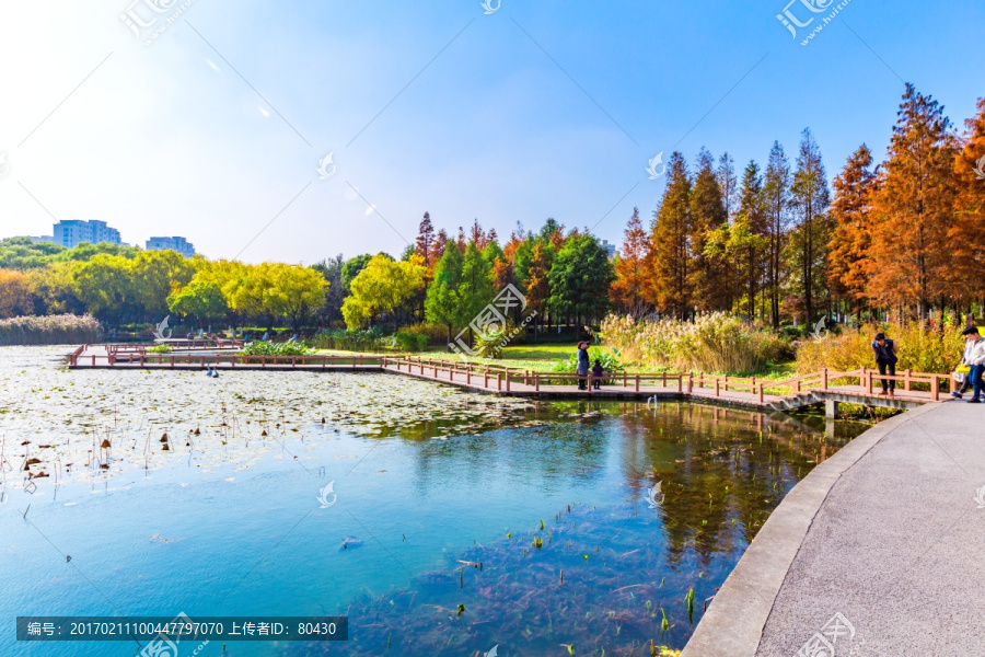 闵行体育公园湖滨景观