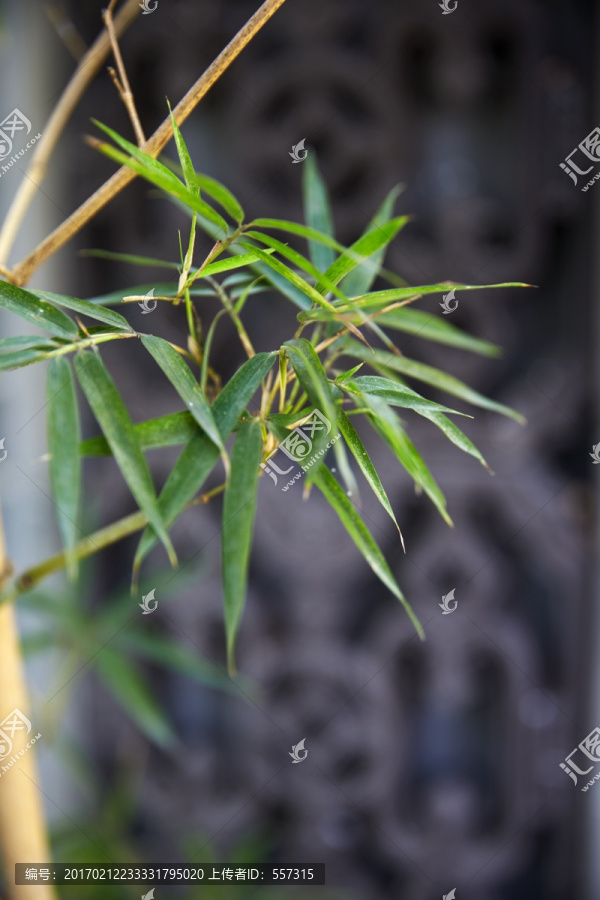 竹叶石窗花岭南景观建筑文化传承