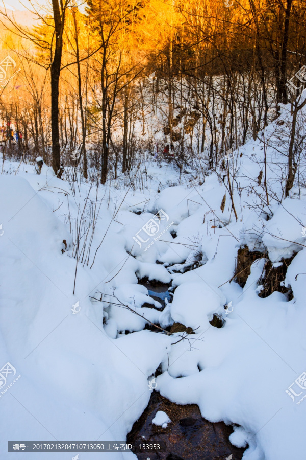 雪景