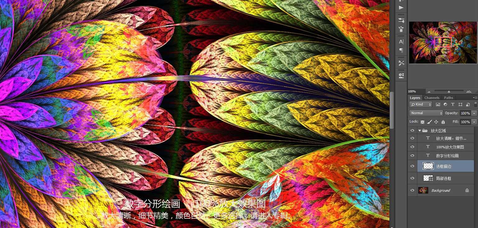 花紋圖案