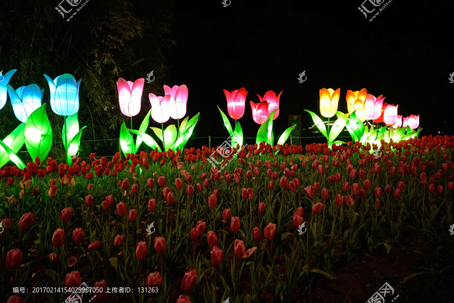 兰溪市中洲公园夜景,郁金香花灯
