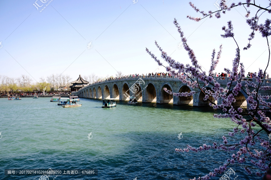 桃花盛开春满园