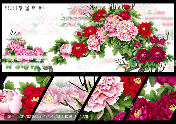 牡丹,花開富貴