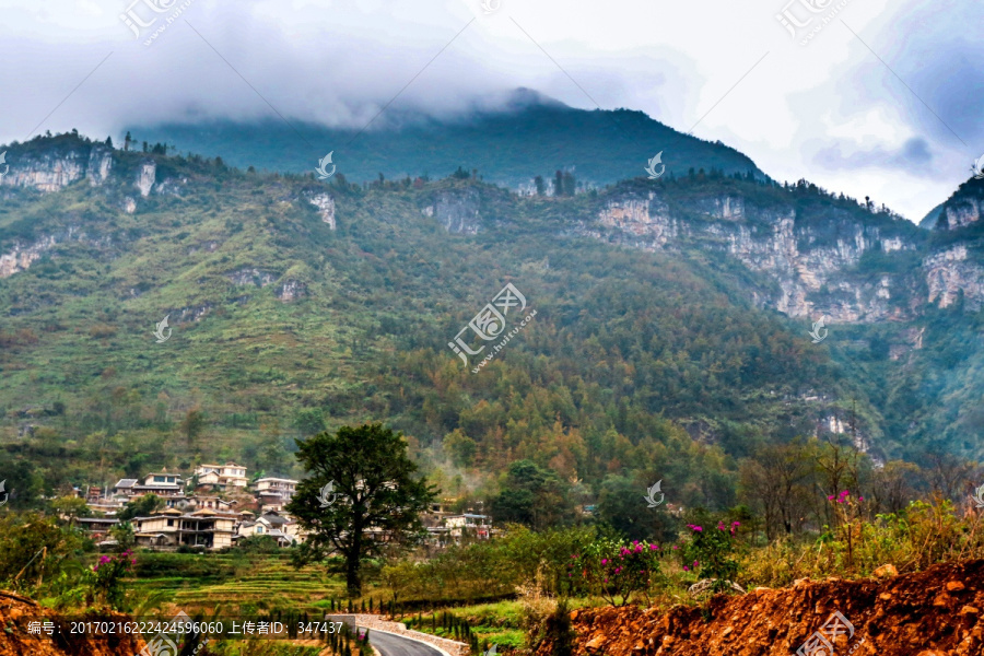 高山村庄