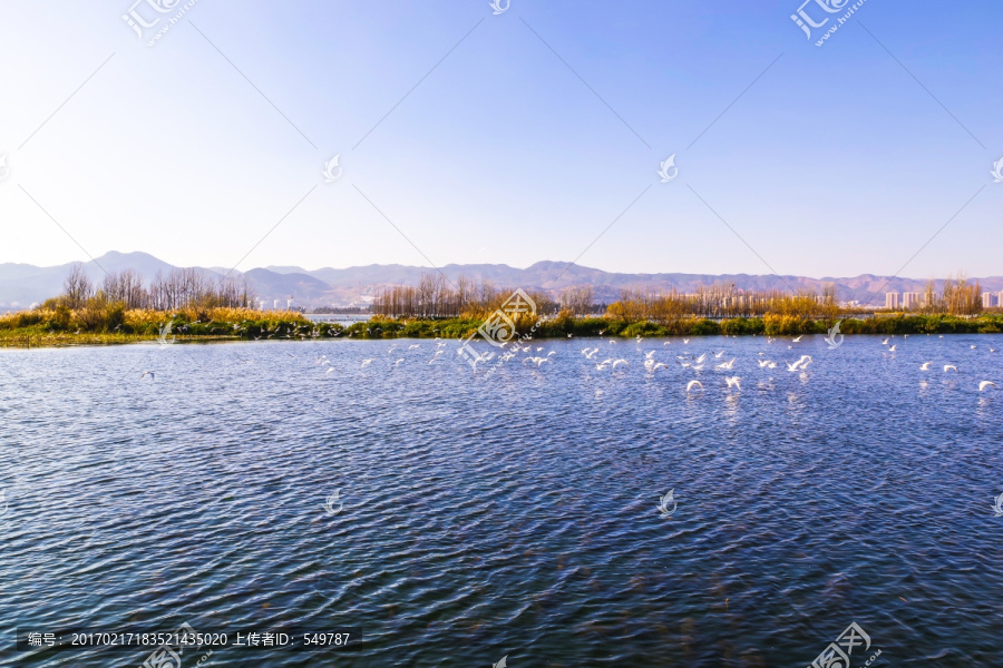 滇池湿地风光