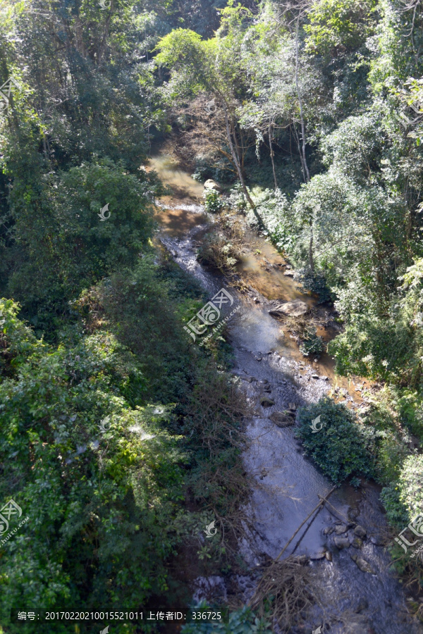 俯拍热带雨林,森林山谷河流