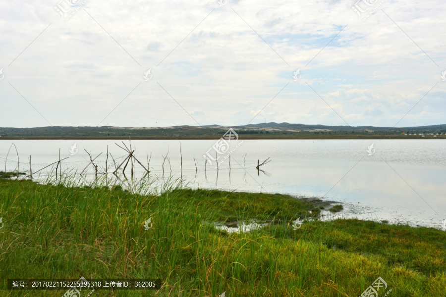 湖岸