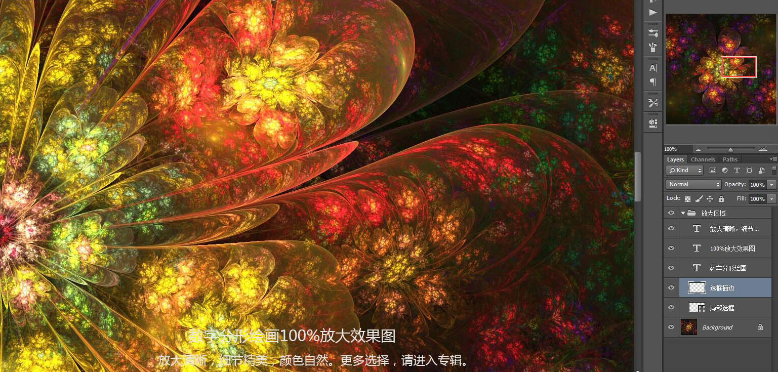 花紋圖案
