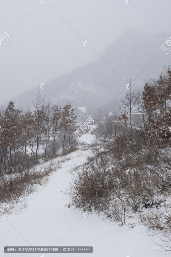 乡村雪景,竖片