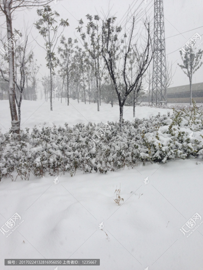 雪景