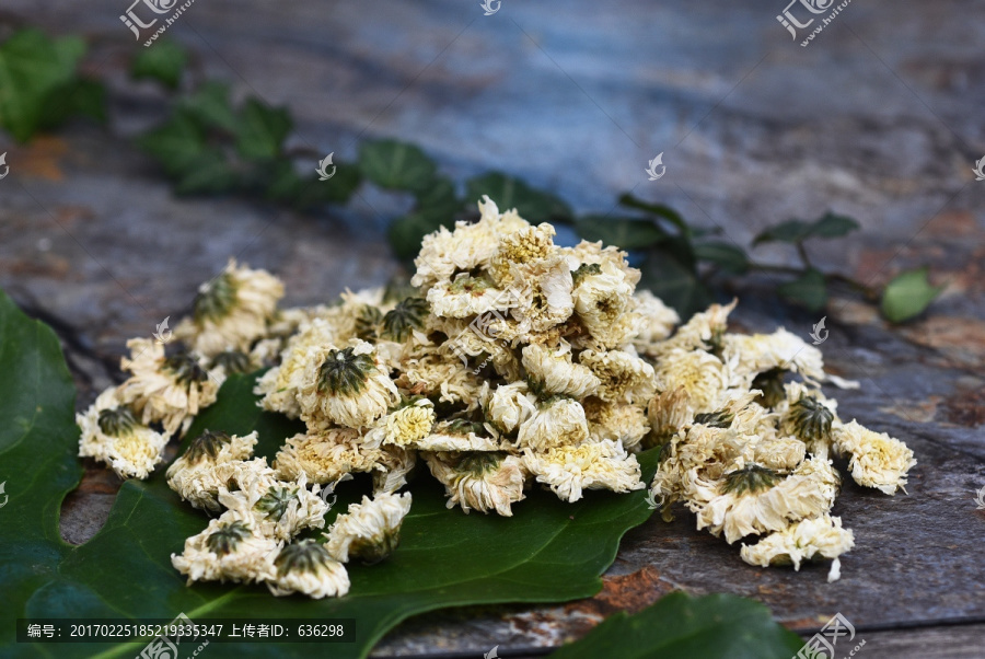 干菊花,菊花茶