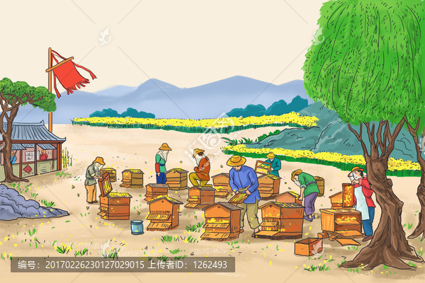 養(yǎng)蜂