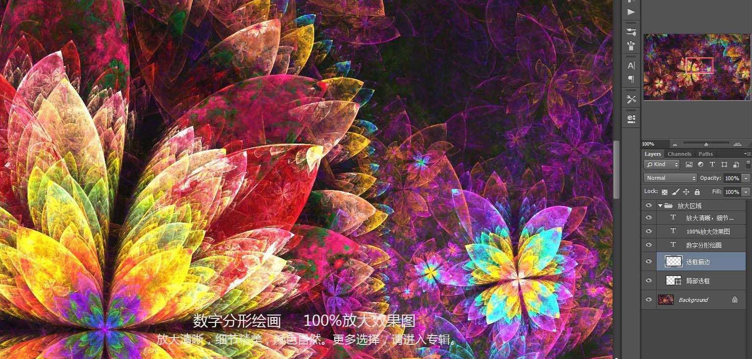 花紋圖案