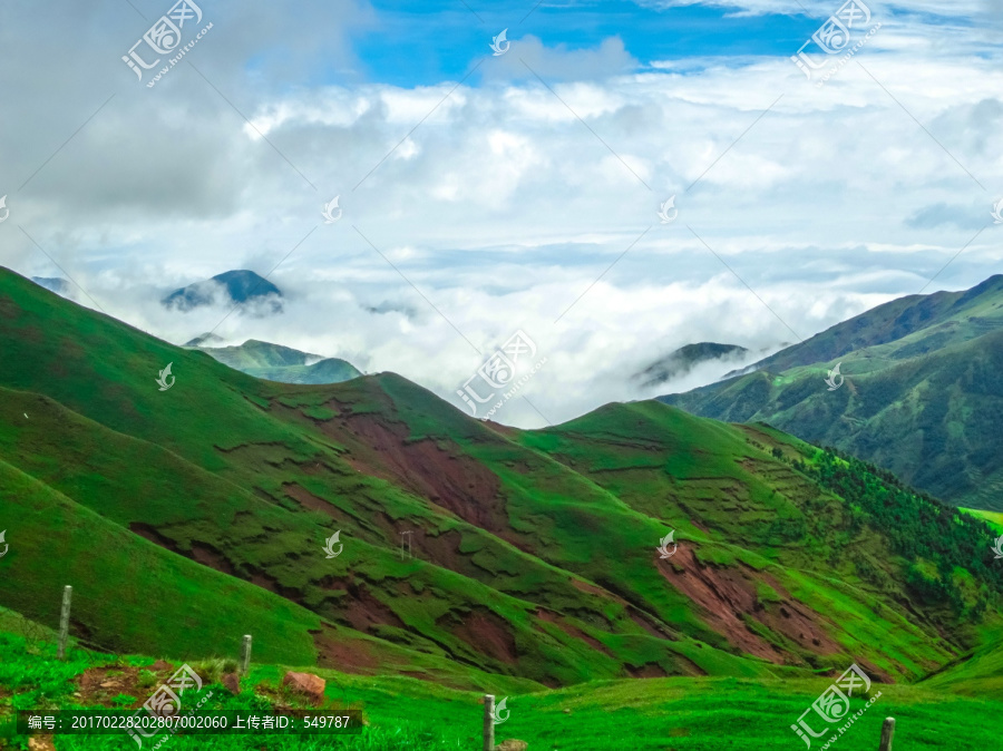 大海草山