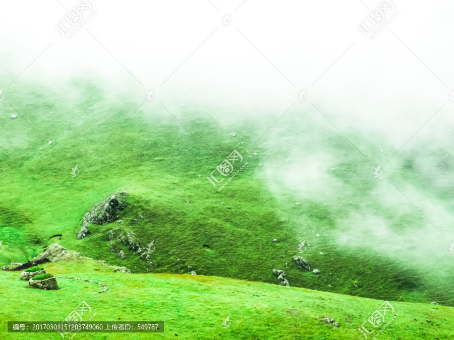 高山牧场云雾