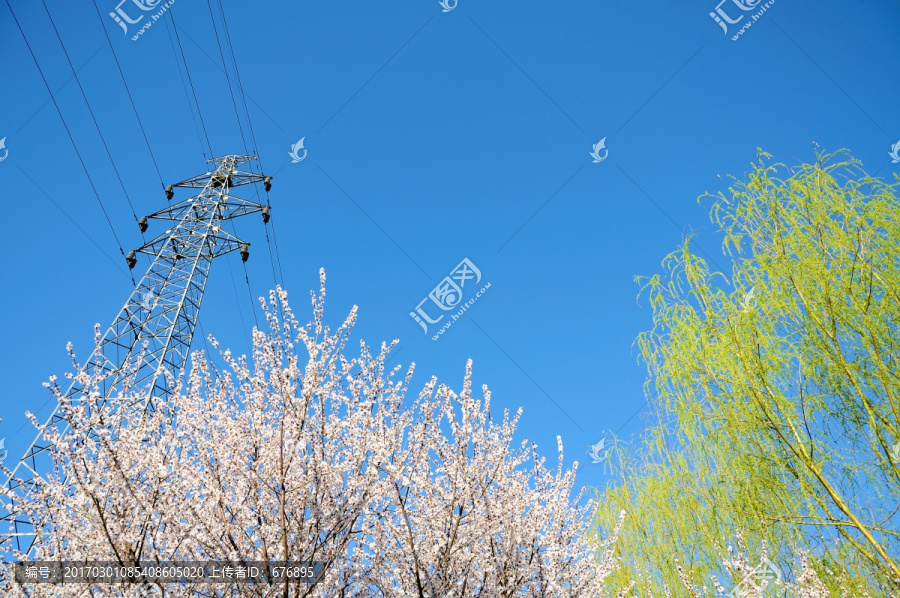 桃花朵朵开