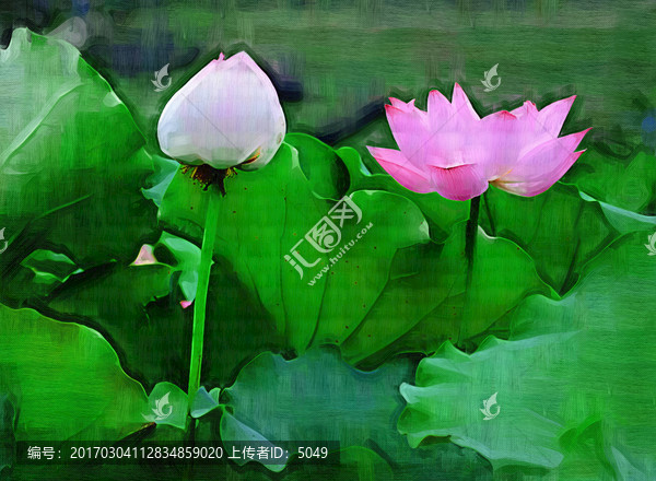 油畫荷花