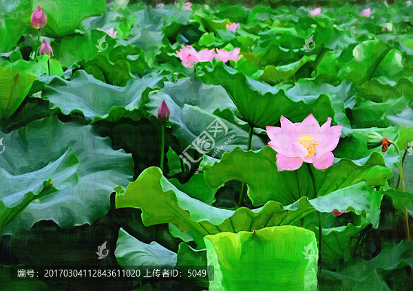 油畫荷花