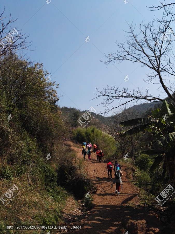 春天组团徒步登山踏青活动