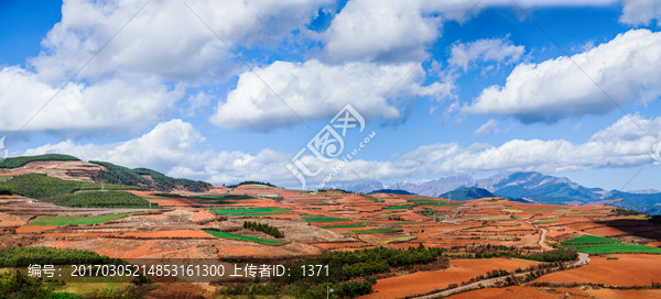 东川红土地,东川,云南