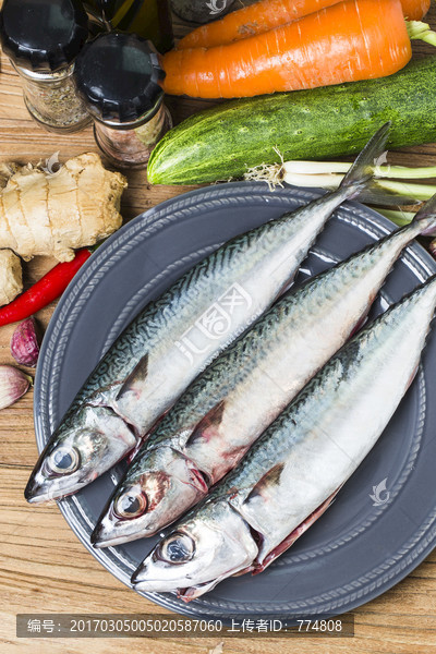 鯖魚