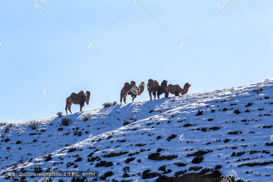 冬季天山山脉