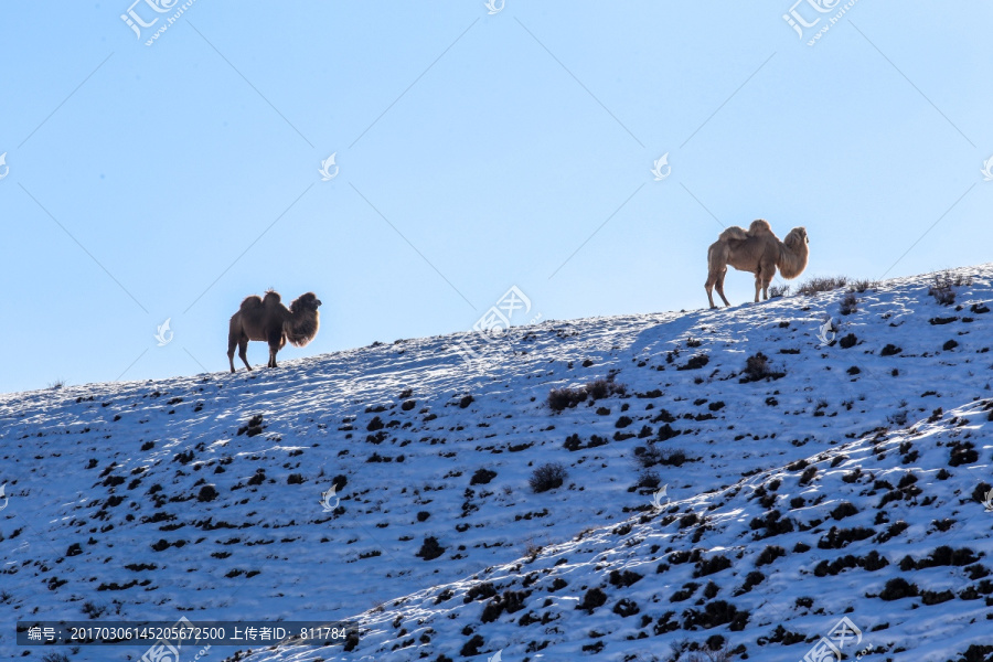 冬季天山山脉