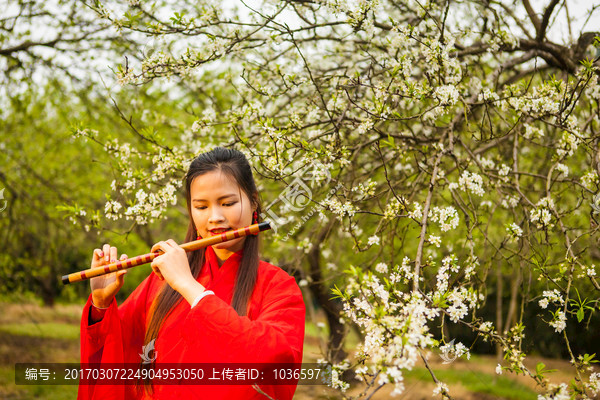 李花树下吹笛子的古装美女