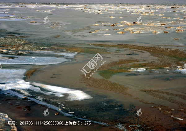 黄河湿地,高格