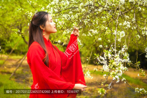 红色古装赏花美女