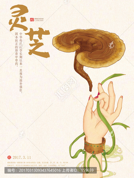 靈芝插畫