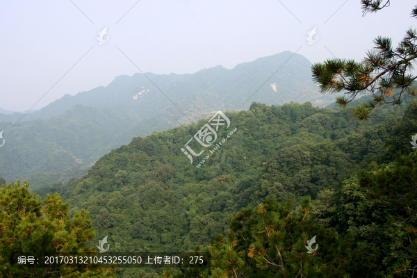 秦岭青华山,高格