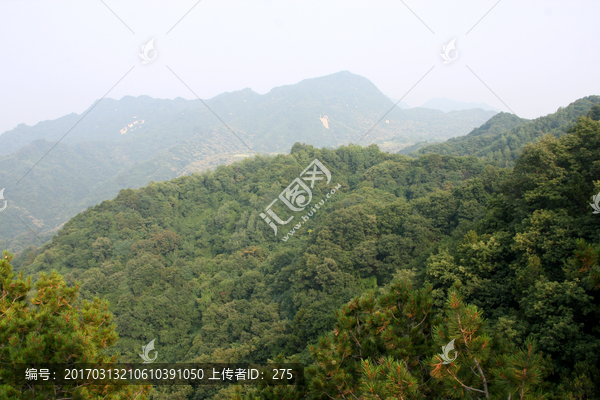 秦岭青华山,高格