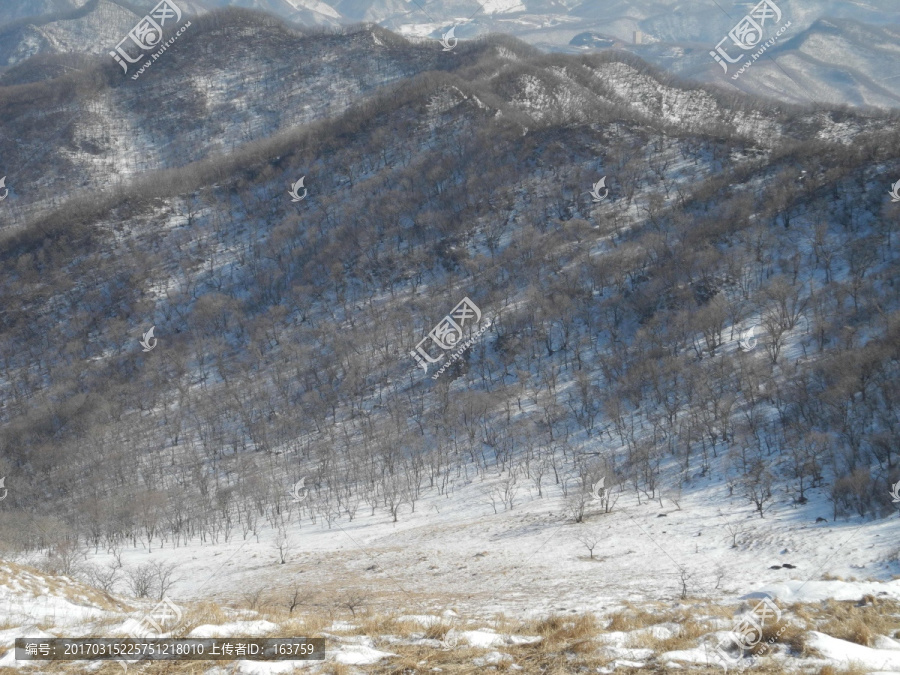 迎风雪坡