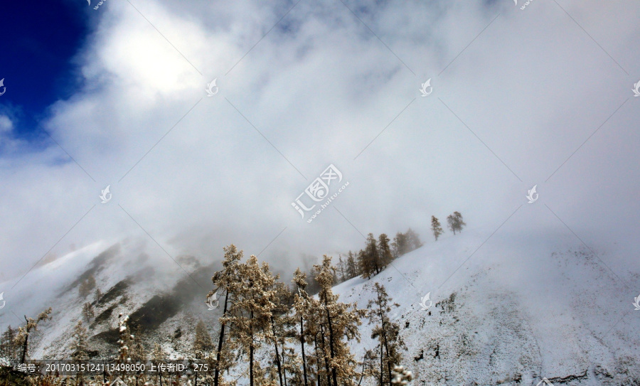 新疆喀纳斯雪景,高格