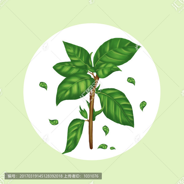 手繪綠色植物