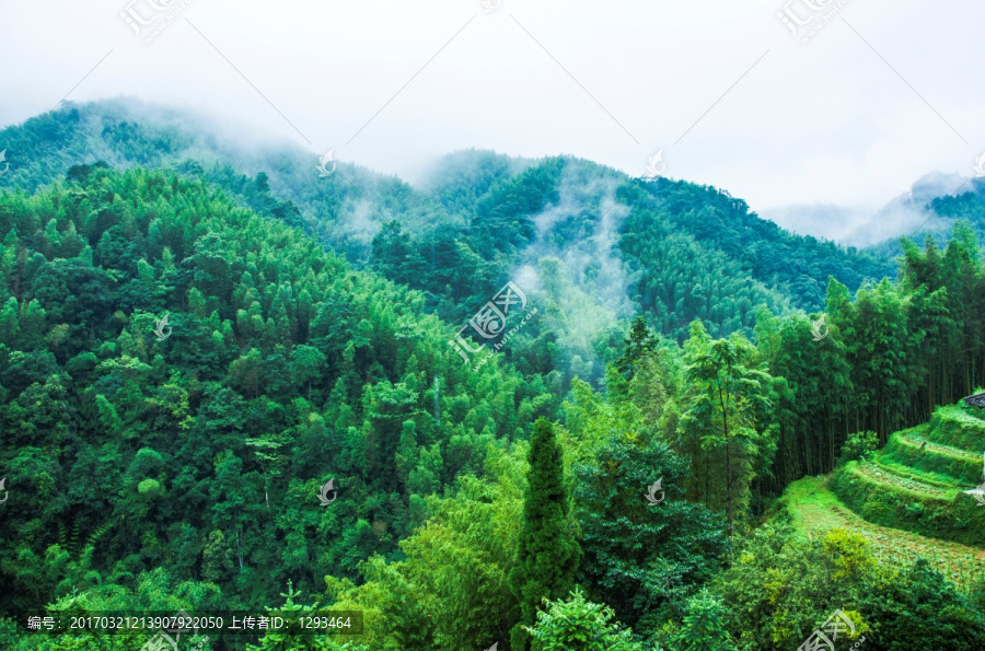 雾色山景