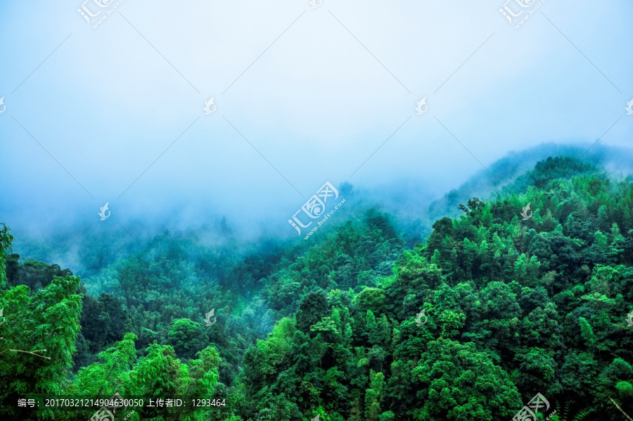 雾色山景