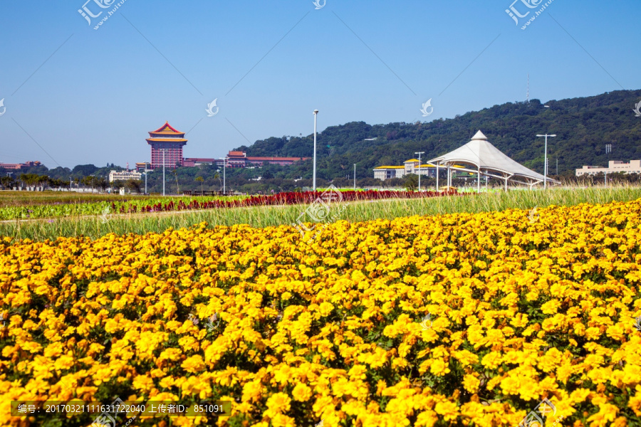 台北国际花卉博览会