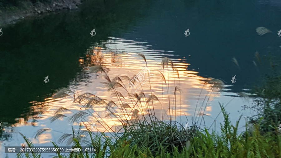 朝霞满天,海港日出,天空,云彩