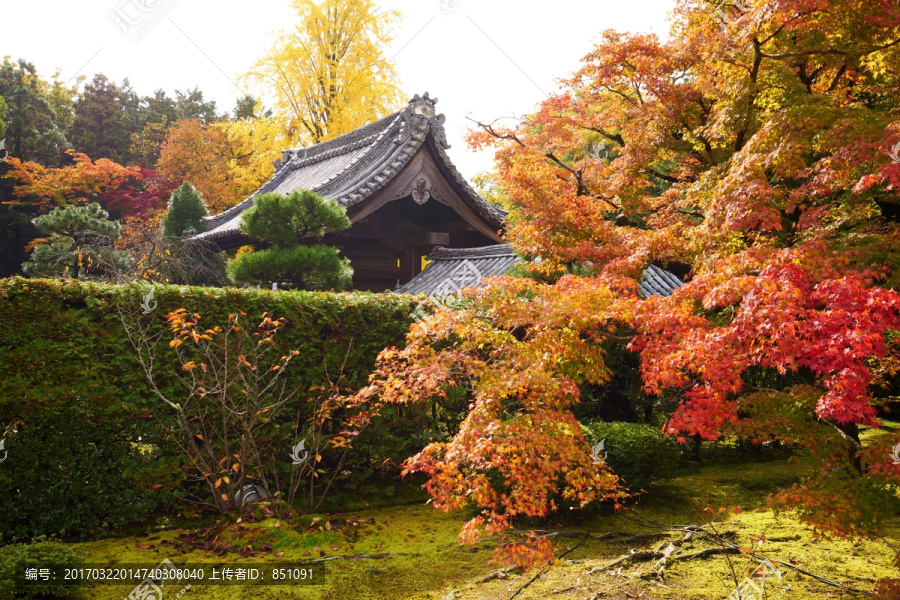 日本天龙寺