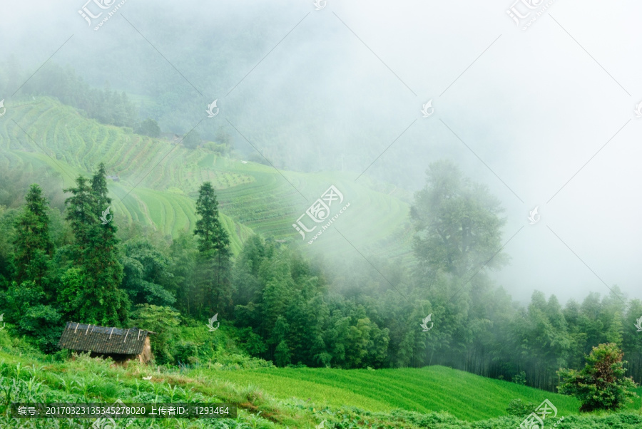 雾色山景