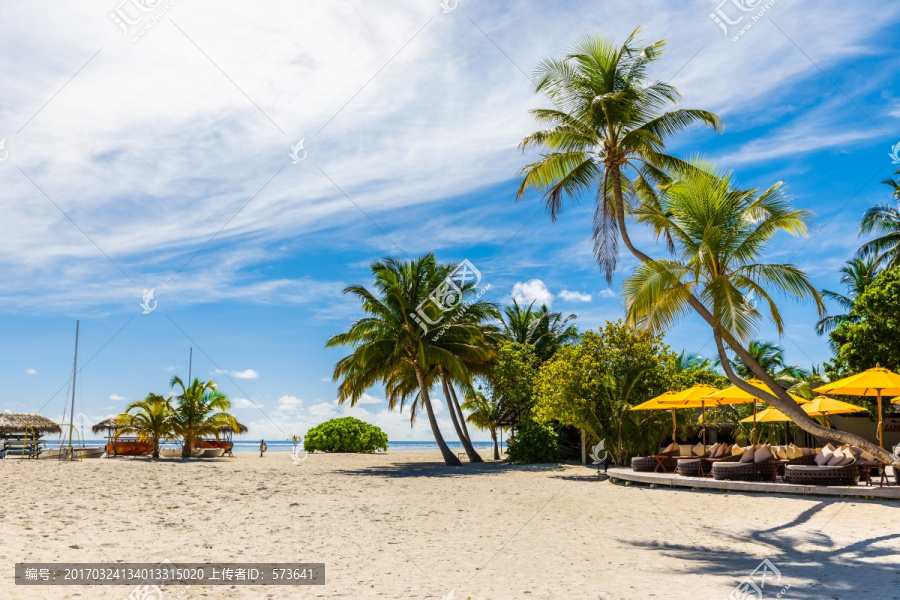 椰树,沙滩