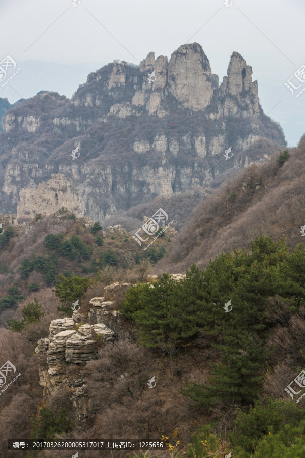 高高的王莽岭