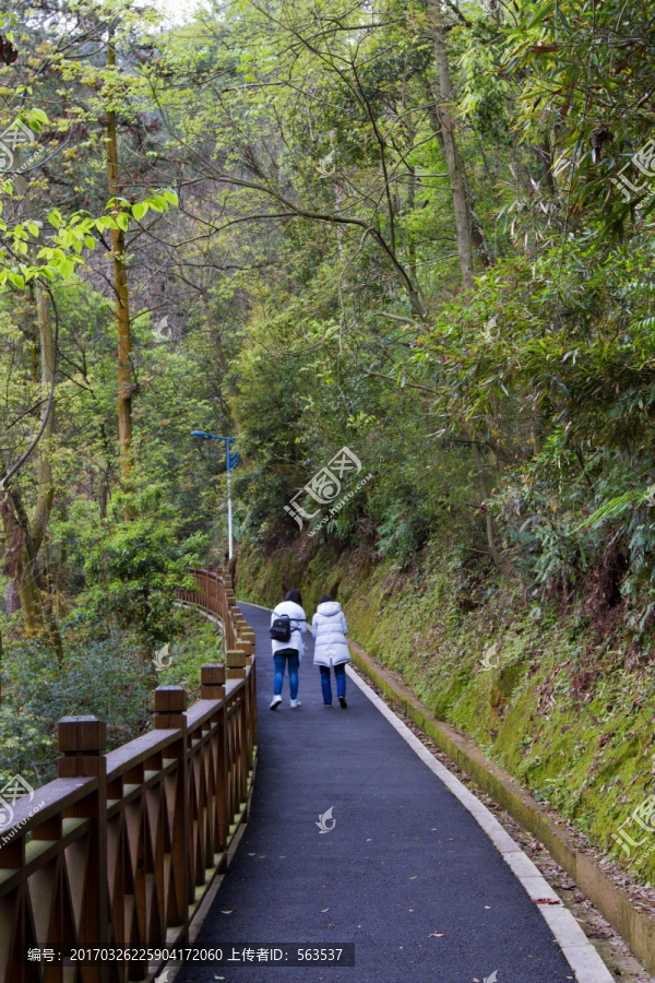 健康步道