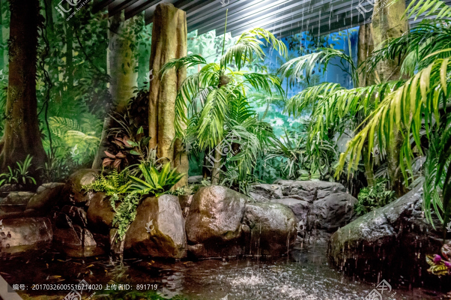 水族馆场景,生态系统模拟,自然