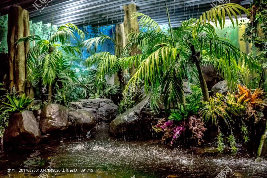 水族馆场景,生态系统模拟