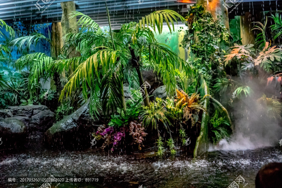 水族馆场景,生态系统模拟